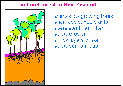 The soil situation in NZ