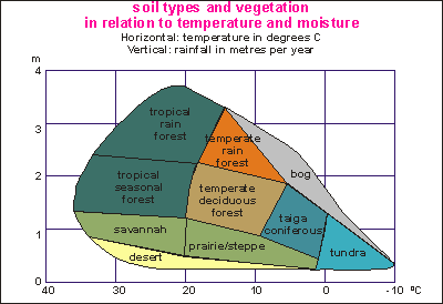 vegetation depending on moisture and heat