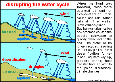Disrupting the water cycle