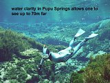 freediver in Pupu Springs