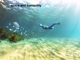 space and tranquility