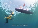 swimmers and kayaks