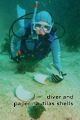 diver and paper nautalus shells