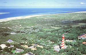 Typical dune system in Holland
