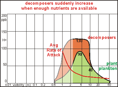 decomposers increase suddenly