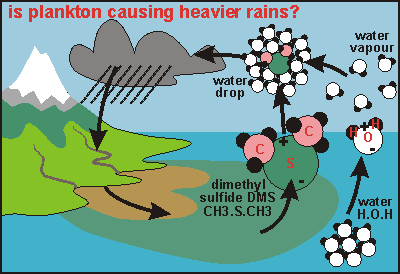 Increased DMS could cause heavier rains