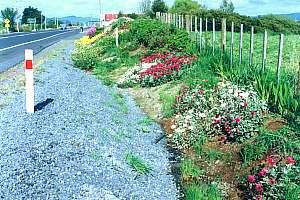 Flowering initiative