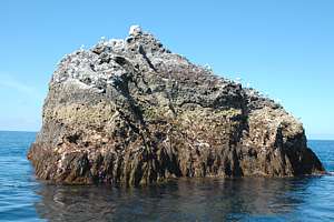 spring low tide at an exposed place