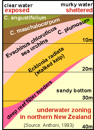 Underwater zoning in N New Zealand