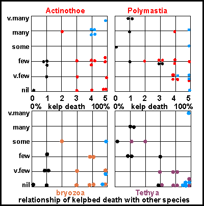 Relationship of kelpbed death with other species