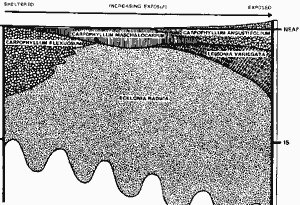 exposure diagram Poor Knights