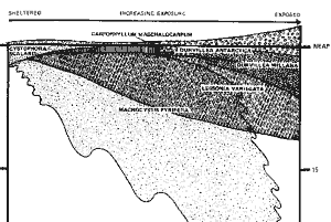 exposure diagram South Island