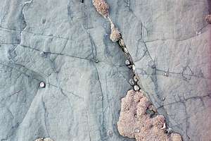cracks and hair cracks preserve mositure