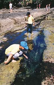 Boys amazed by rich rock pool