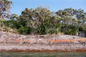 zoning on an evenly sloping shore