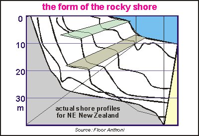 Subtidal platforms