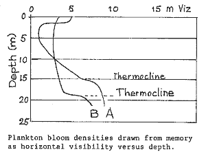 Plankton bloom densities