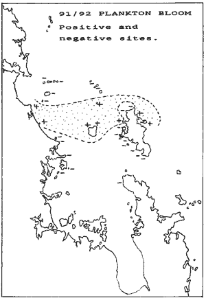 1991/92 kelp death