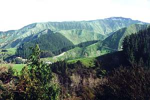 steep country farming