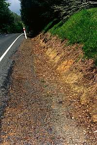 Herbicide sprays have bared the soil