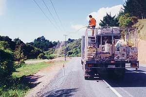 covering and seeding