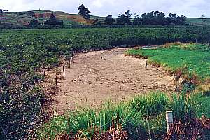 riparian fence