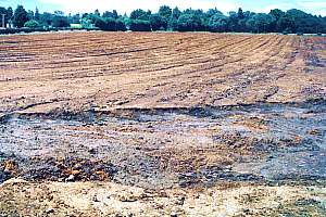 massive erosion on cropland