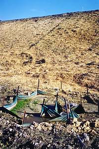 straw cover and sediment pond