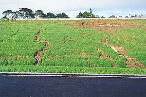 erosion rilling on a road side