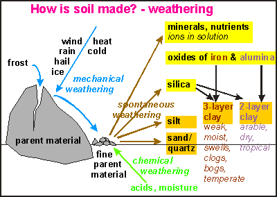 soil formation