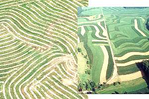 strip cropping and contour ploughing