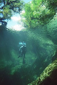 f027627: a snorkeldiver views the clear waters