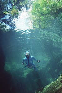 f027628: a snorkel diver in the Crystal Pool