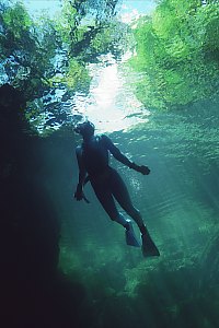 f027629: freediver silhouetted