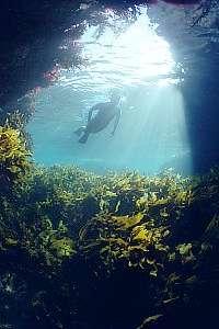 f034018: freediver entering a cave