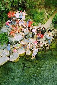 f211612: visitors watching the eels being fed