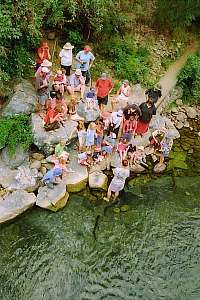 f211613: visitors watching the feeding of big eels