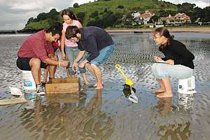 volunteers counting shellfish