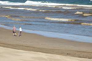 beach polluted by dense plankton and bacteria