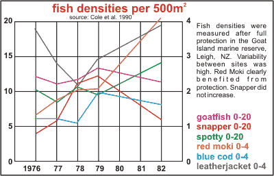 fish counts at Goat Island