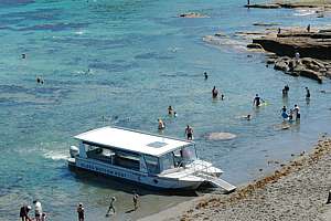 large glassbottom boat Goat Island