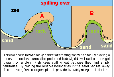 fish spilling out from marine parks