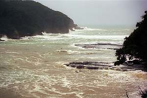 f960508: the Goat Island Channel turned brown after each heavy rain