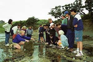 f960810: students listen attentively during their rocky shore study