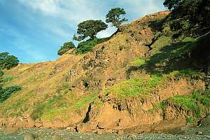 f981122: severe coastal erosion bordering the marine reserve