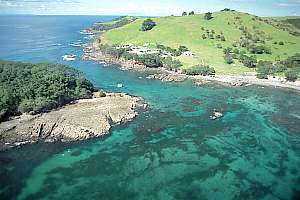 aerial view of urchin barrens at Goat Island