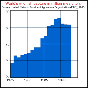 World catch 1976-1993