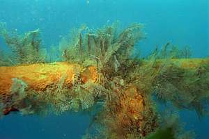 rusting railings remove encrusting life