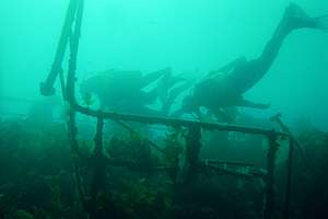 divers swimming over the rear deck