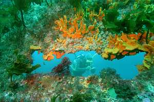 diver taking notes, seen through a scupper